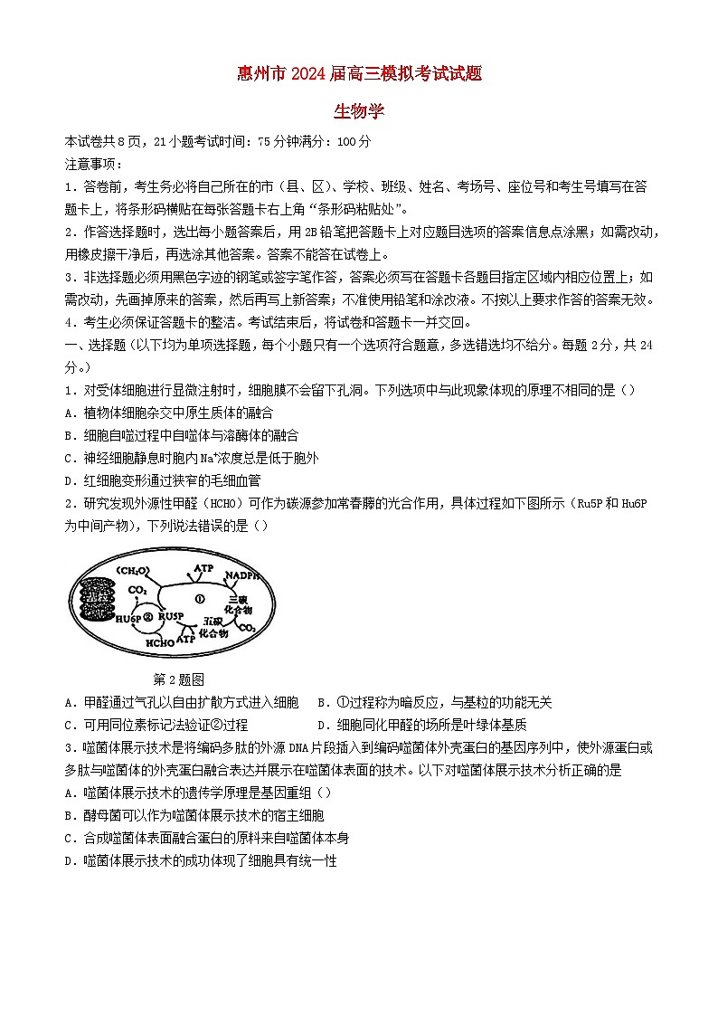 广东省惠州市2024届高三生物下学期4月一模试题第1页