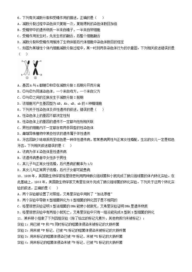 河北省沧州市2023_2024学年高一生物下学期4月期中试题含解析第2页