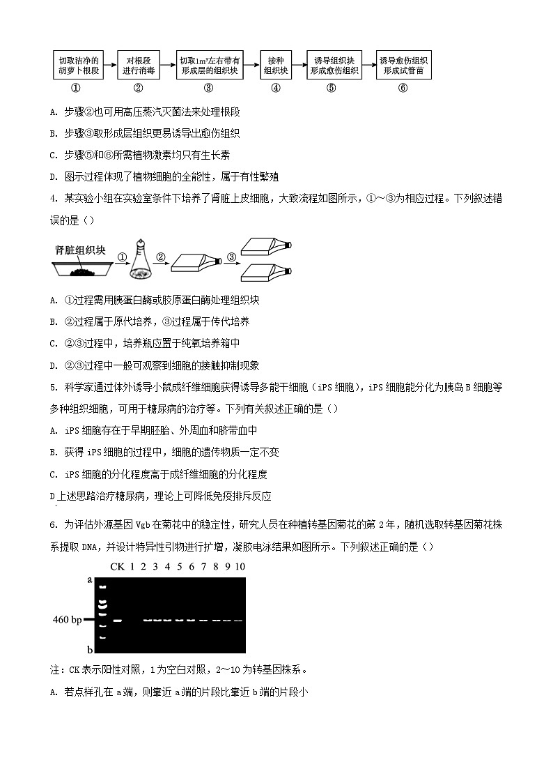 河南省2023_2024学年高二生物下学期4月月考试题含解析第2页