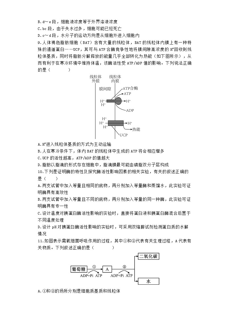 河南省郑州市2023_2024学年高一生物下学期4月期中试题含解析第3页