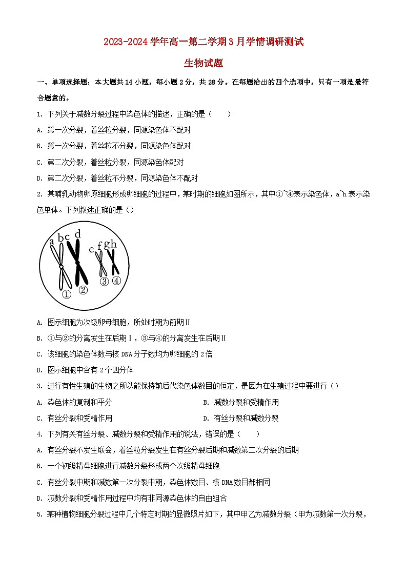 江苏省扬州市高邮市2023_2024学年高一生物下学期3月月考试题含解析第1页