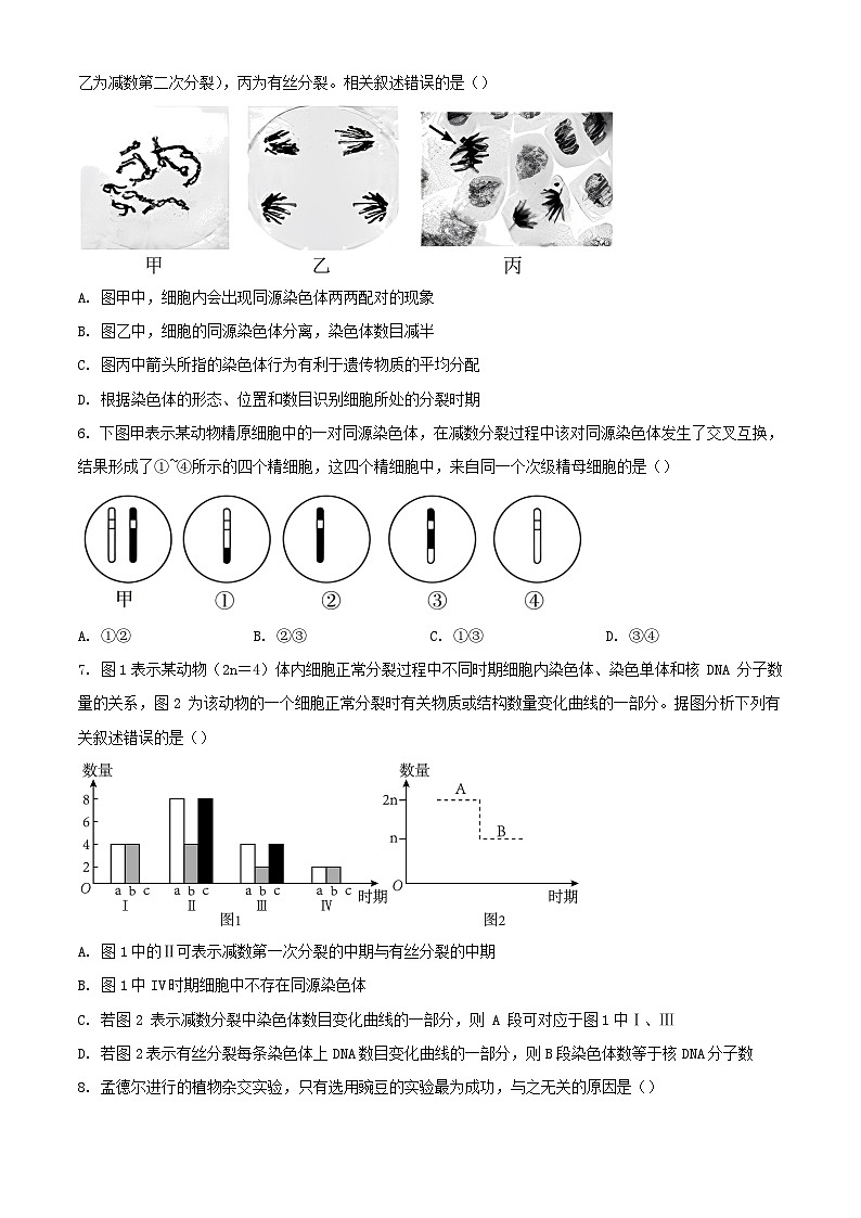 江苏省扬州市高邮市2023_2024学年高一生物下学期3月月考试题含解析第2页