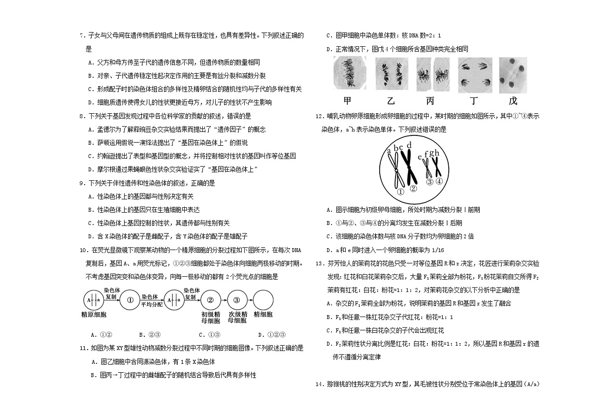 吉林省长春市2023_2024学年高一生物下学期4月月考试题第2页