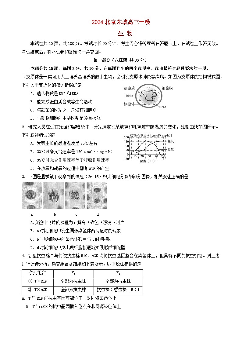 北京市东城区2024届高三生物下学期4月一模试题第1页