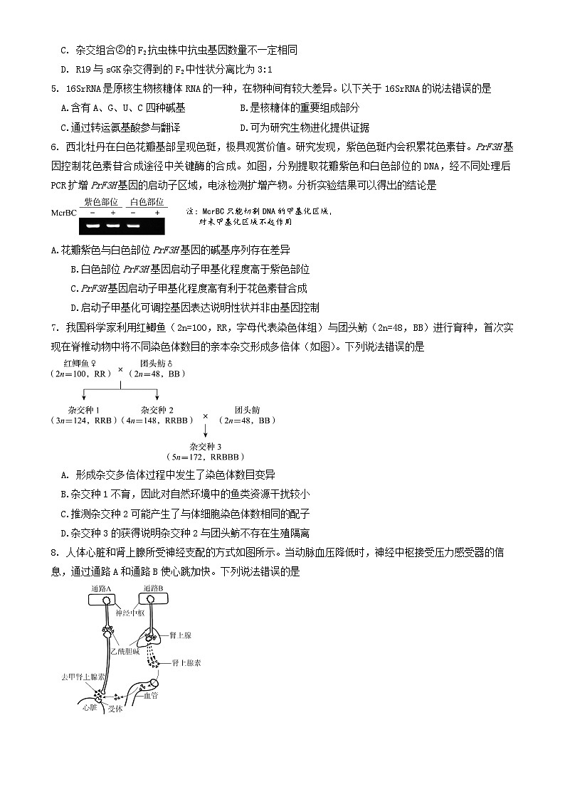北京市东城区2024届高三生物下学期4月一模试题第2页