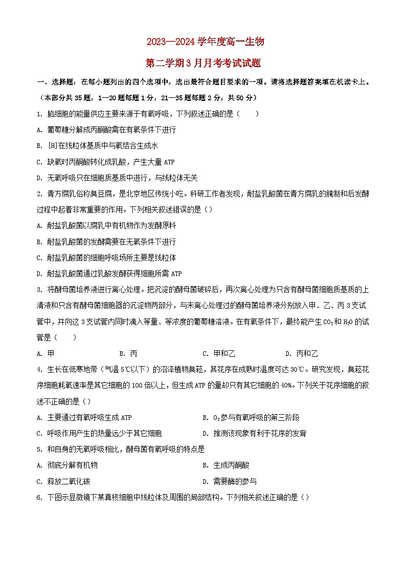 北京市顺义区2023_2024学年高一生物下学期3月月考试题含解析第1页