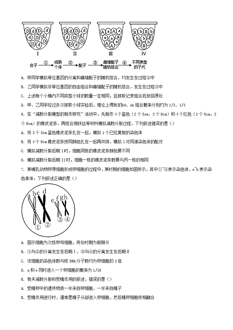 甘肃省天水市2023_2024学年高一生物下学期4月月考试题第2页