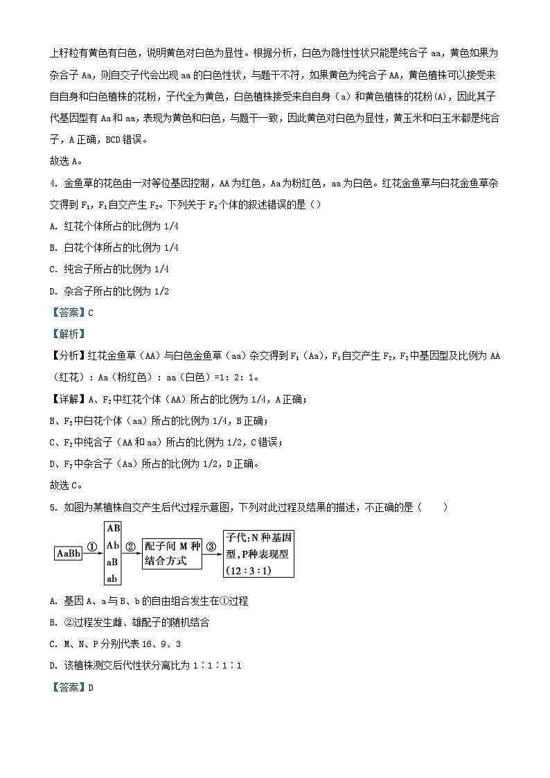 广东省2023_2024学年高一生物下学期第一次月考试题含解析第3页