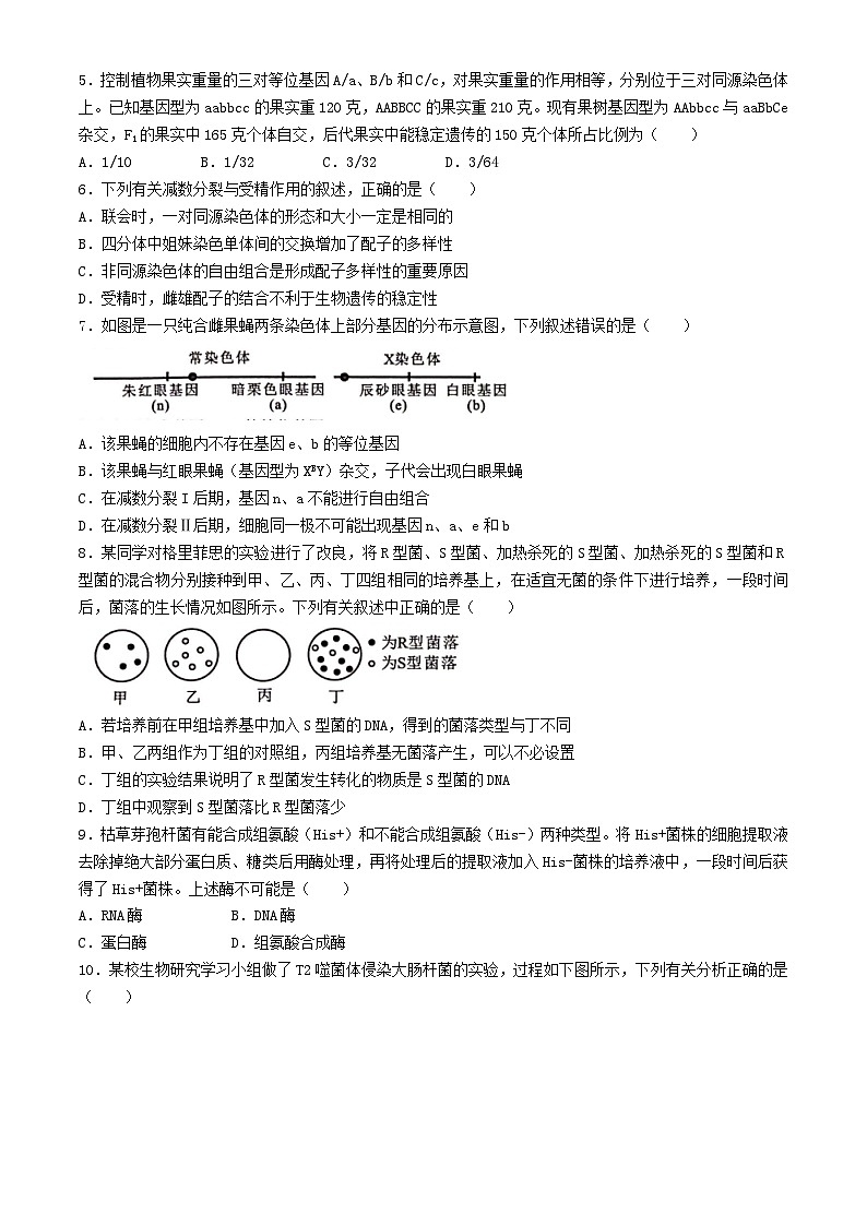广西河池市2023_2024学年高一生物下学期4月月考试题含解析第2页