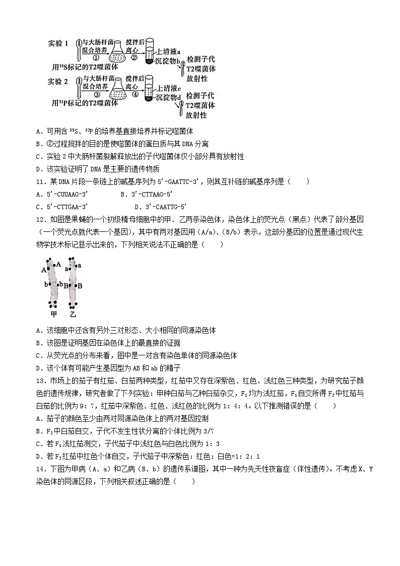 广西河池市2023_2024学年高一生物下学期4月月考试题含解析第3页