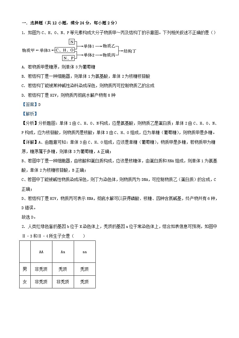 湖南省衡阳市衡南县2023_2024学年高二生物上学期期末模拟试题含解析第1页