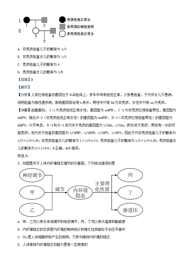 湖南省衡阳市衡南县2023_2024学年高二生物上学期期末模拟试题含解析第2页