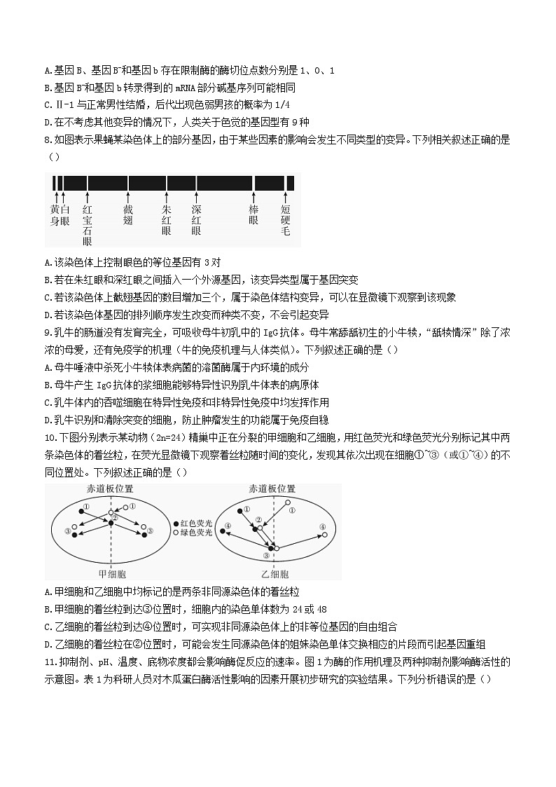 湖南省邵阳市2024届高三生物下学期二模试题第3页