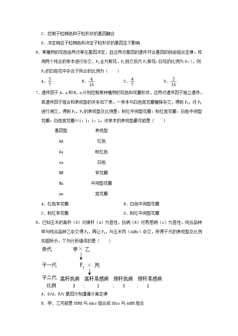湖南省岳阳市岳阳县2023_2024学年高一生物下学期3月月考试题第2页