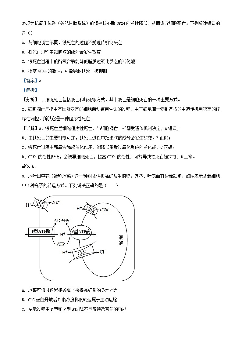 湖南省长沙市2023_2024学年高三生物下学期二模试题含解析第2页