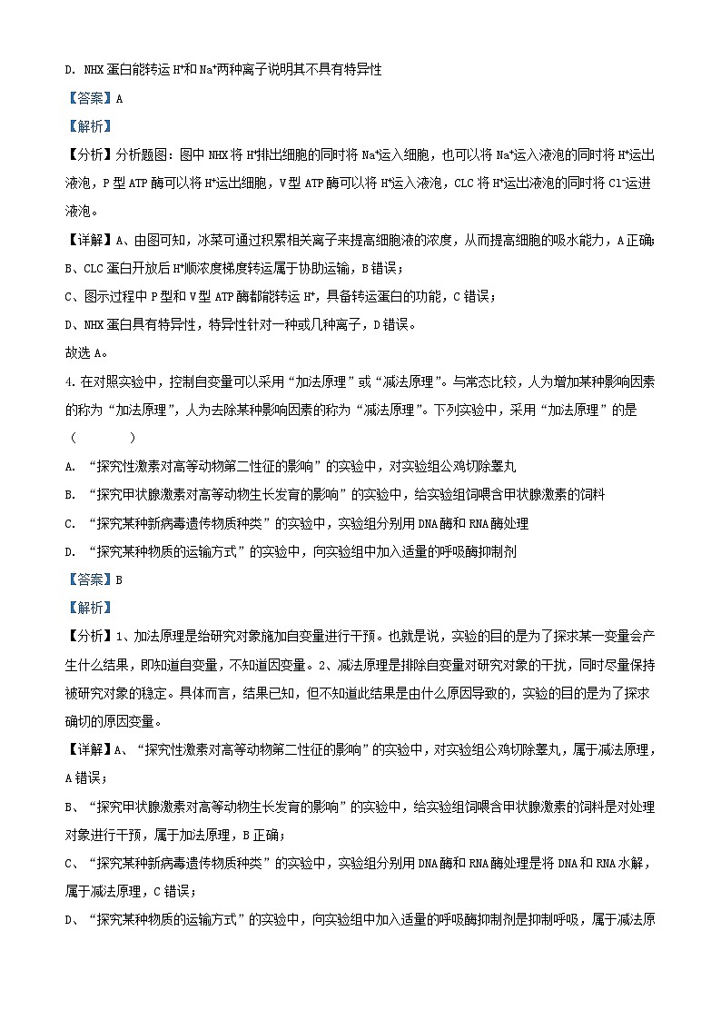 湖南省长沙市2023_2024学年高三生物下学期二模试题含解析第3页