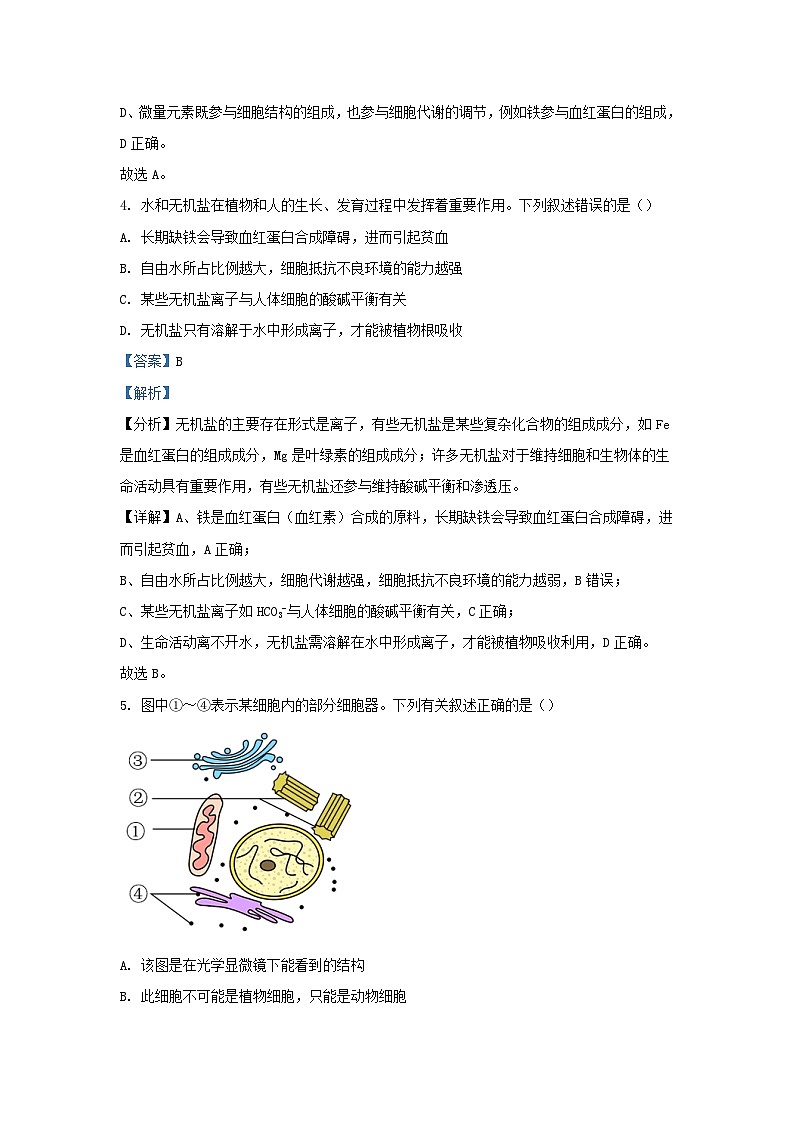 湖南省株洲市2023_2024学年高一生物下学期开学考试试题含解析第3页