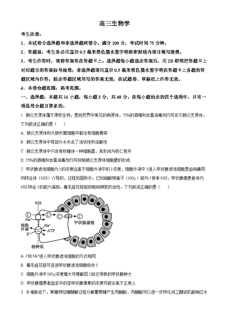 山西省太原市山西大学附属中学校2024-2025学年高三下学期3月月考生物第1页