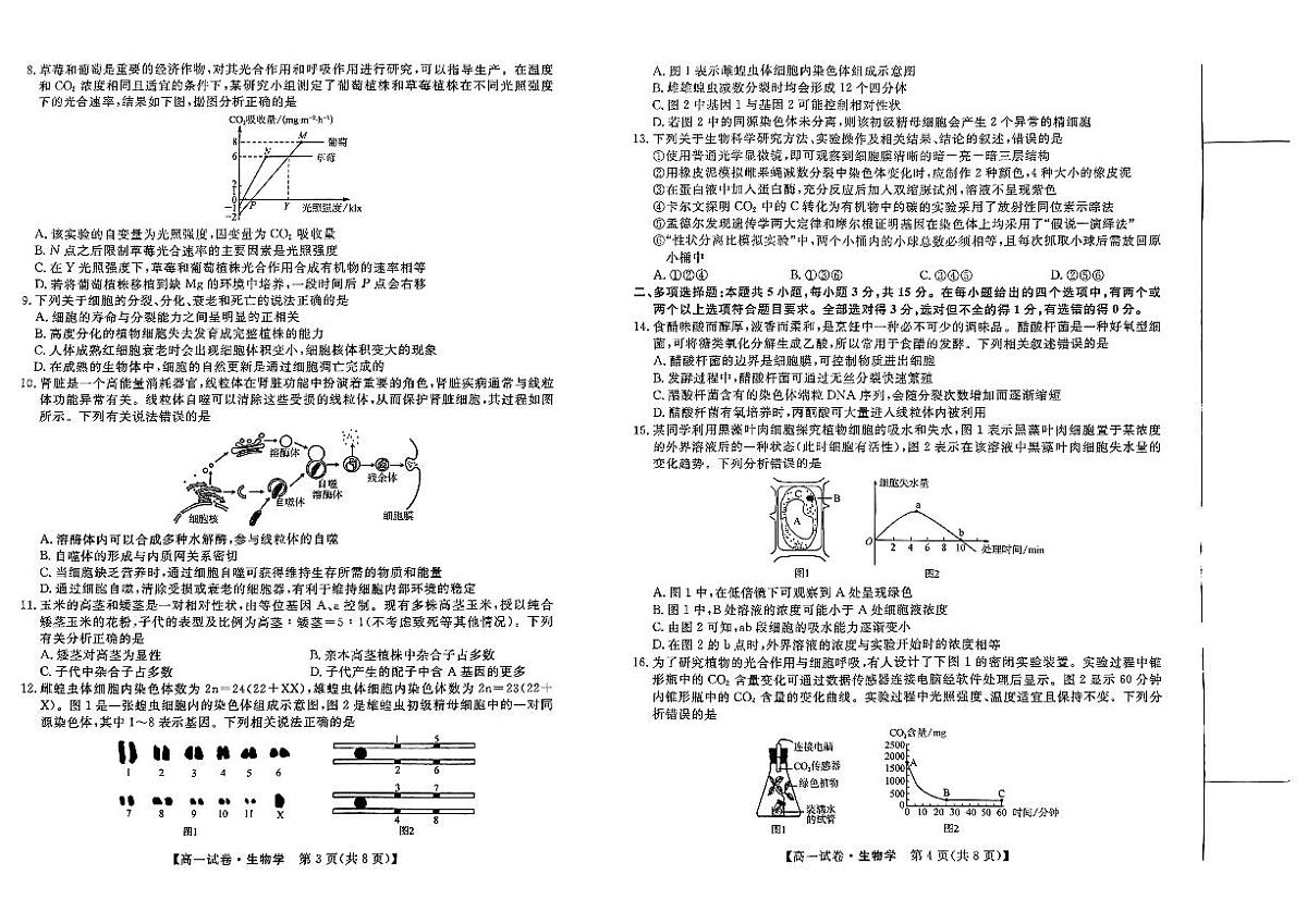 高一生物学试题(B)第2页