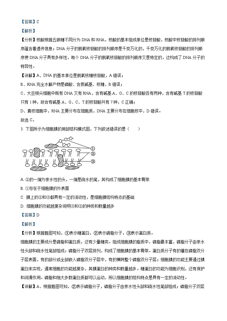 河北省保定市2024-2025学年高一上学期12月月考生物试题  Word版含解析第2页