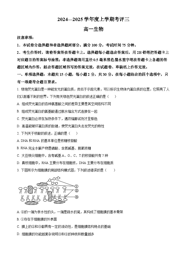 河北省保定市2024-2025学年高一上学期12月月考生物试题  Word版无答案第1页