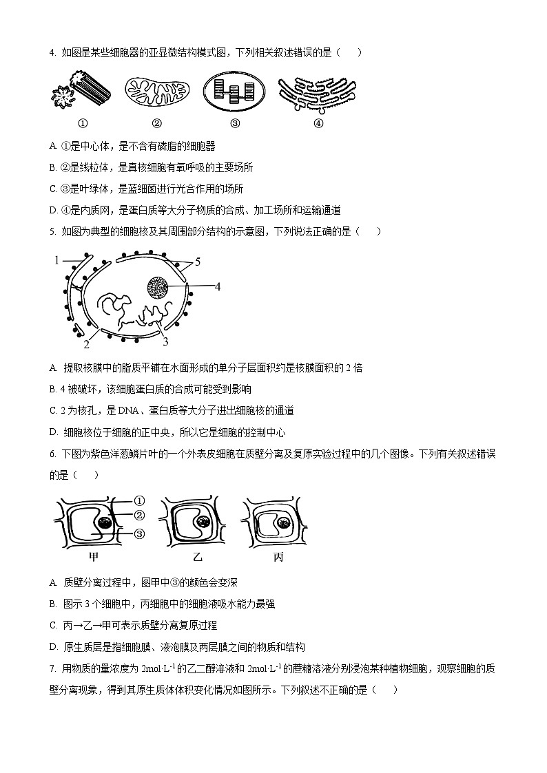 河北省保定市2024-2025学年高一上学期12月月考生物试题  Word版无答案第2页
