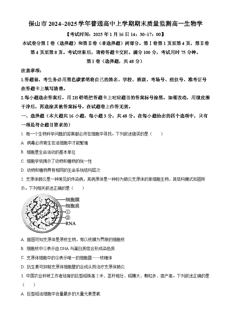 云南省保山市2024~2025学年高一上学期期末质量监测生物试卷  Word版无答案第1页