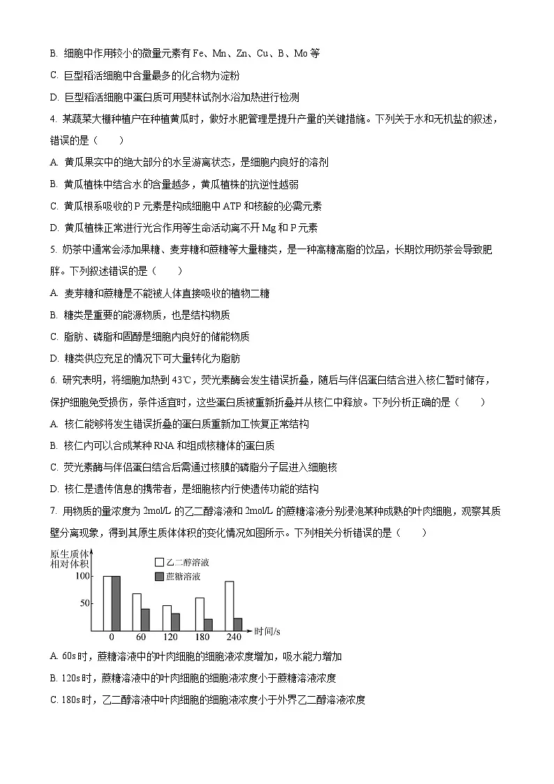 云南省保山市2024~2025学年高一上学期期末质量监测生物试卷 Word版无答案第2页