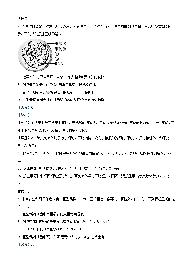 云南省保山市2024~2025学年高一上学期期末质量监测生物试卷 Word版含解析第2页