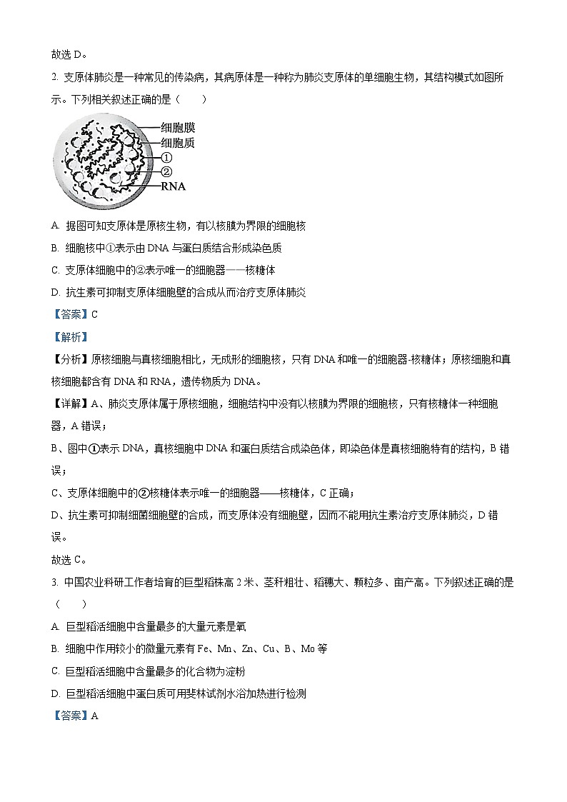 云南省保山市2024~2025学年高一上学期期末质量监测生物试卷  Word版含解析第2页