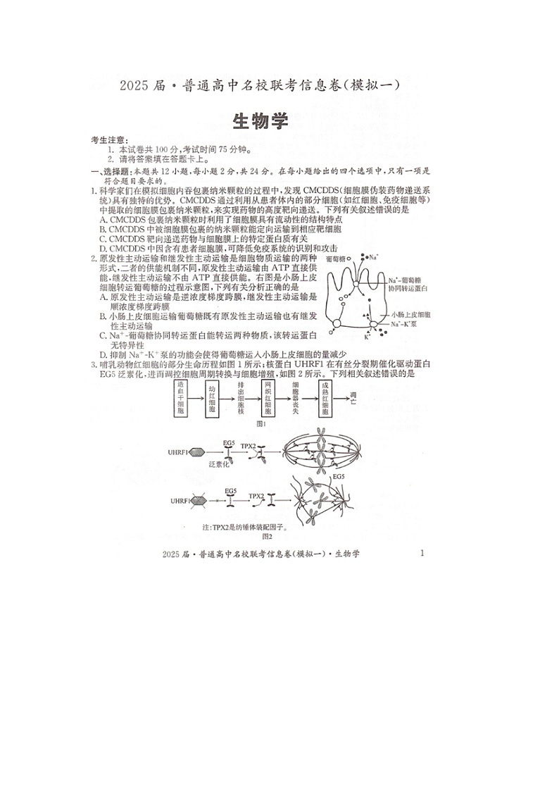 湖南省2025届普通高中名校联考信息卷（模拟一）生物第1页