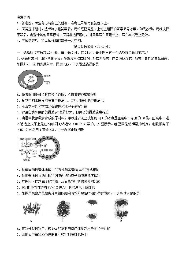 湖南省长沙市2024届高三生物下学期二模试题2含解析第1页