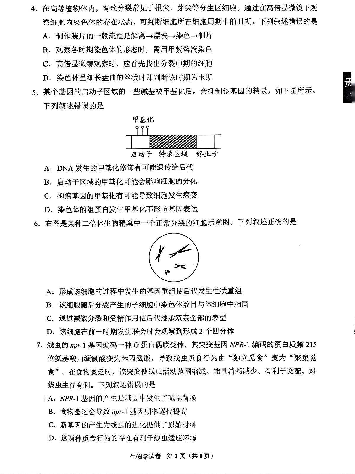 2024届贵州省贵阳市高三5月适应性考试（二）-生物试卷（含答案）第2页