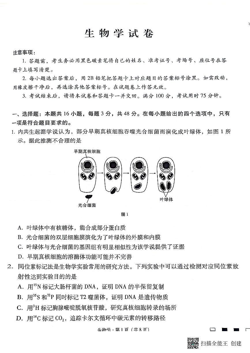 2024届贵州省贵阳一中高三适应月考（八）-生物试卷（含答案）第1页