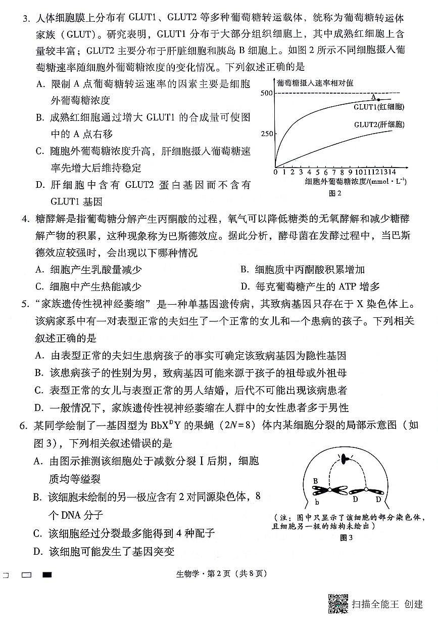 2024届贵州省贵阳一中高三适应月考（八）-生物试卷（含答案）第2页