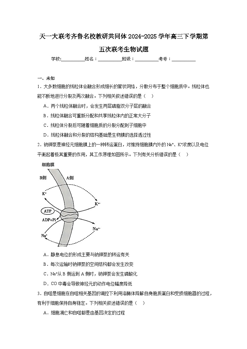天一大联考齐鲁名校教研共同体2024-2025学年高三下学期第五次联考生物试题（无答案）第1页
