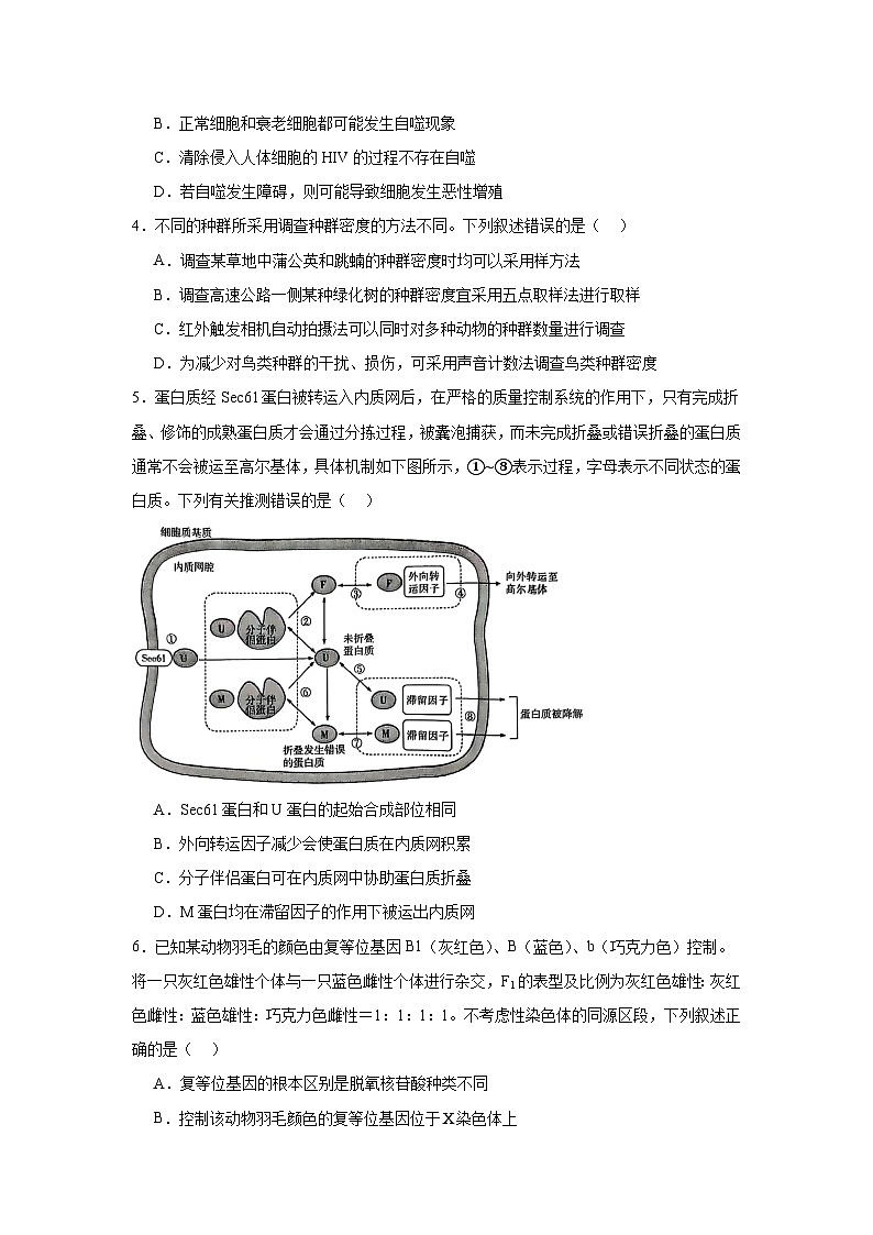 天一大联考齐鲁名校教研共同体2024-2025学年高三下学期第五次联考生物试题（无答案）第2页