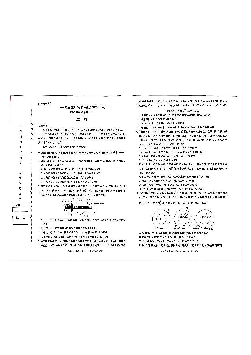 2025届河南省青桐鸣高三下学期高考冲刺联考卷一生物试题第1页