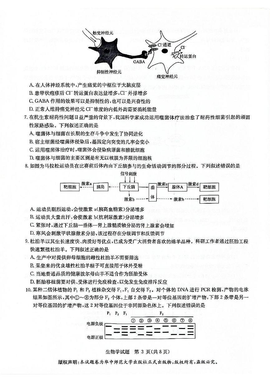 华大新高考高三三月月考卷第3页