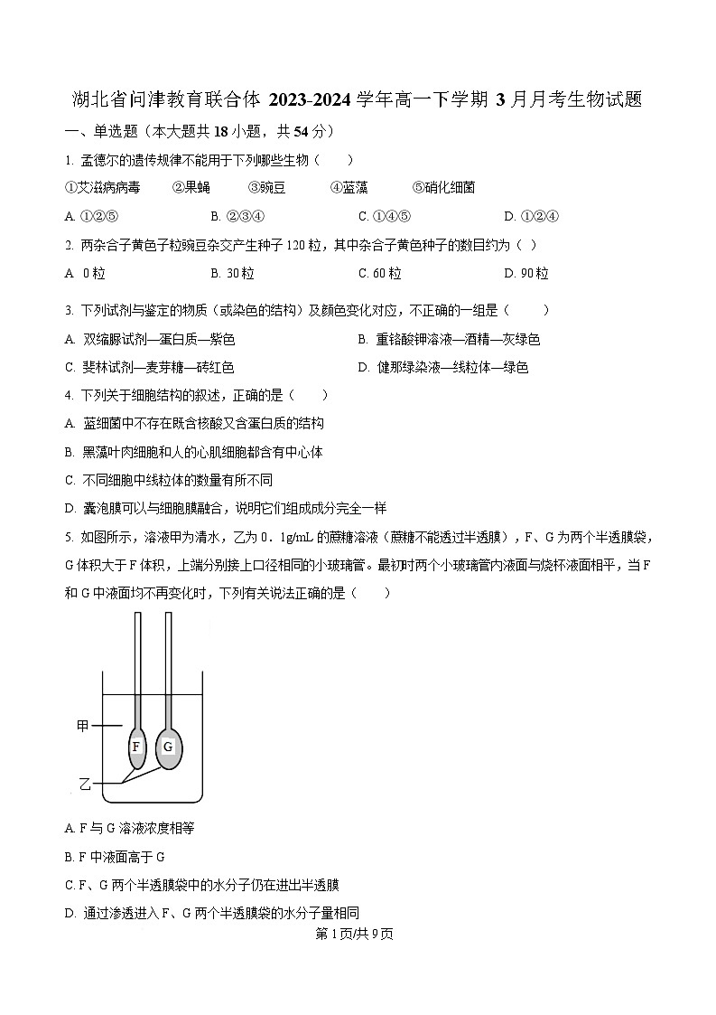 湖北省问津教育联合体2023-2024学年高一下学期3月月考生物试题（原卷版）第1页