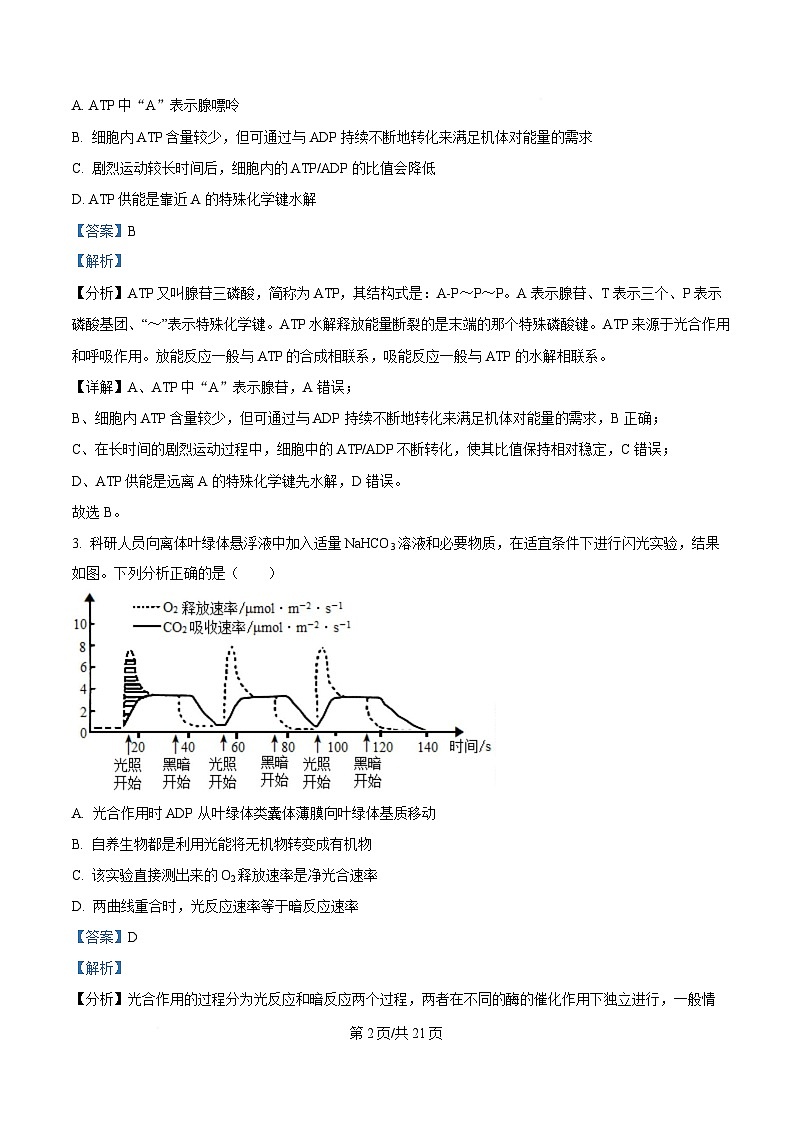 湖南省长沙市雅礼教育集团高一联考2024-2025学年高一下学期3月月考生物试题 Word版含解析第2页