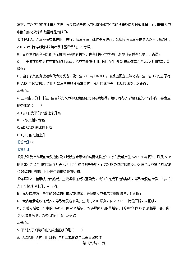 湖南省长沙市雅礼教育集团高一联考2024-2025学年高一下学期3月月考生物试题 Word版含解析第3页