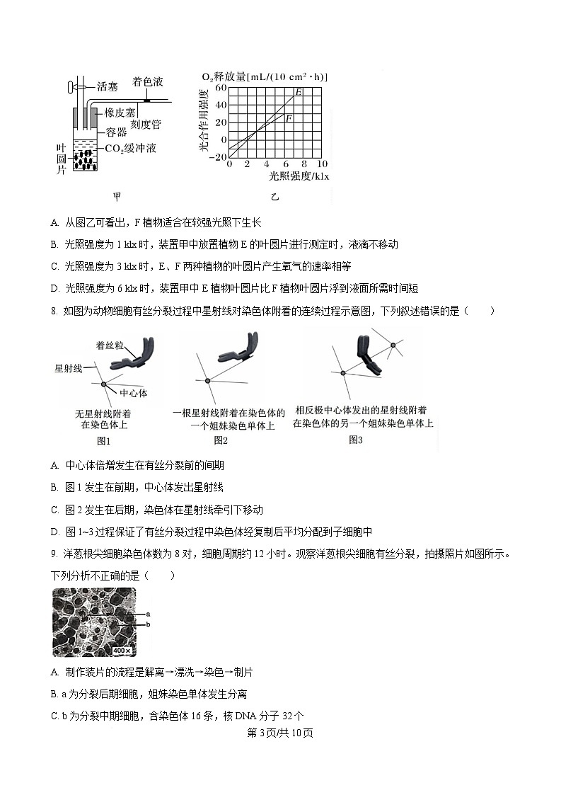 湖南省长沙市雅礼教育集团高一联考2024-2025学年高一下学期3月月考生物试题（原卷版）第3页