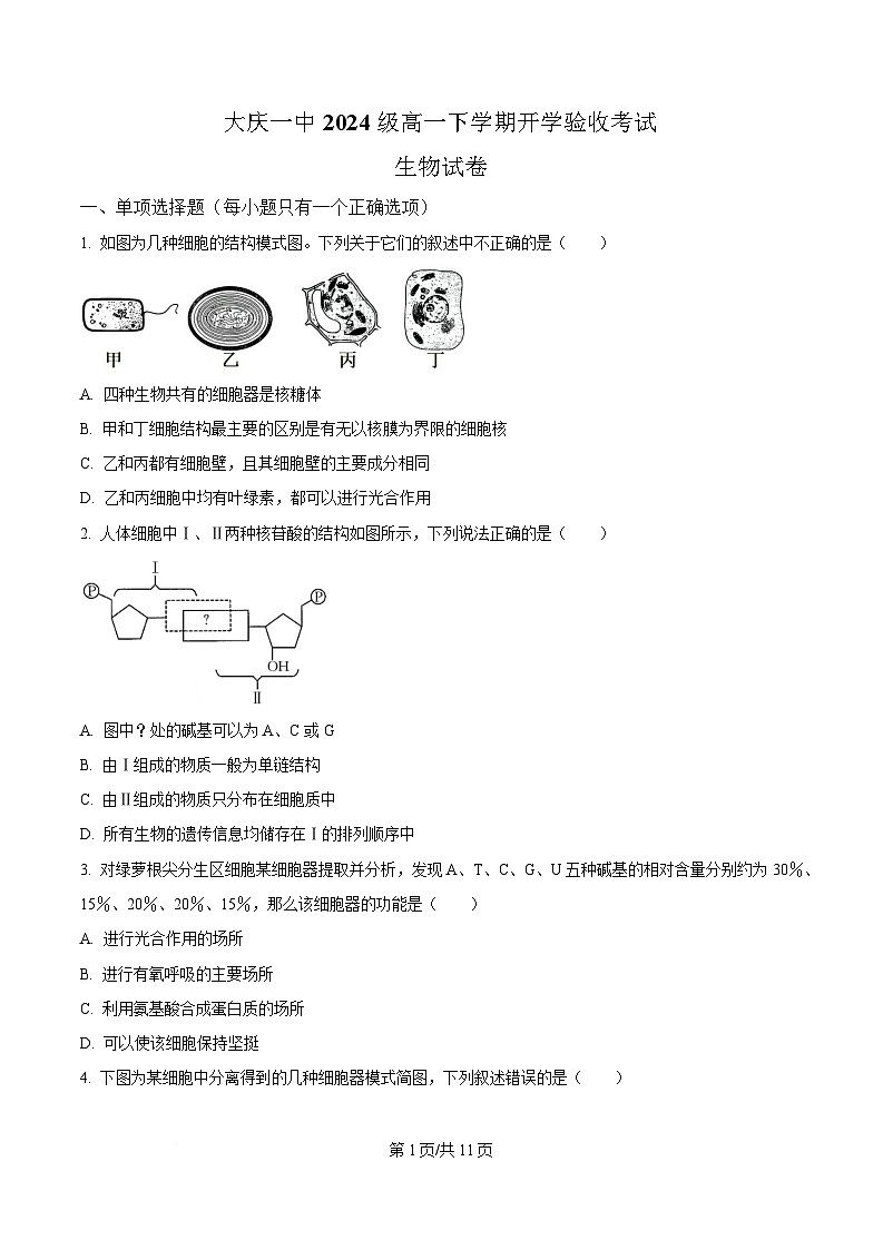 黑龙江省大庆市大庆第一中学2024-2025学年高一下学期开学验收生物试卷（原卷版）第1页