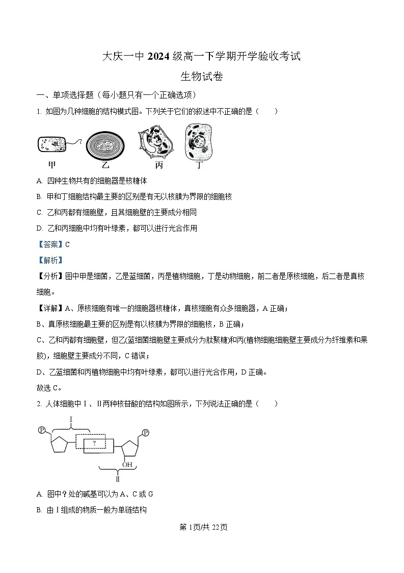 黑龙江省大庆市大庆第一中学2024-2025学年高一下学期开学验收生物试卷 Word版含解析第1页