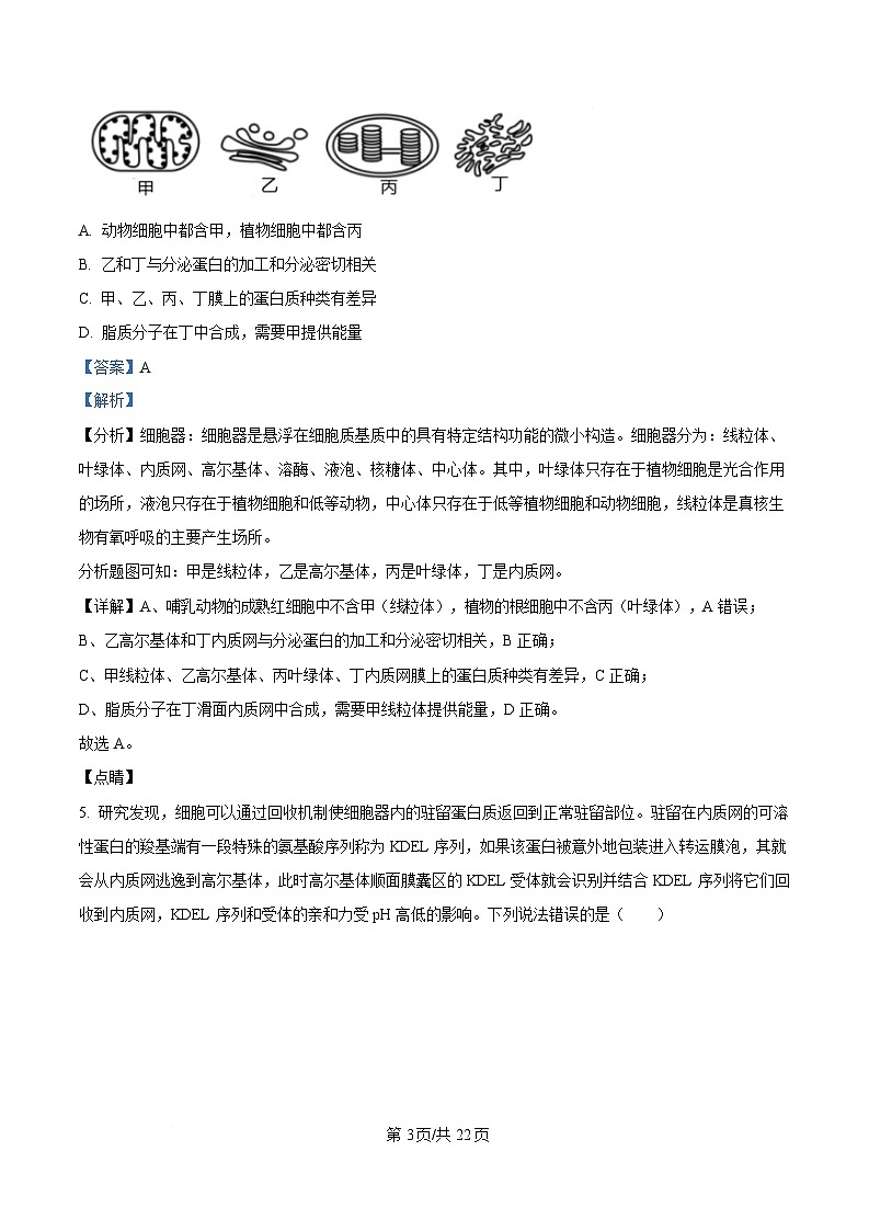黑龙江省大庆市大庆第一中学2024-2025学年高一下学期开学验收生物试卷 Word版含解析第3页