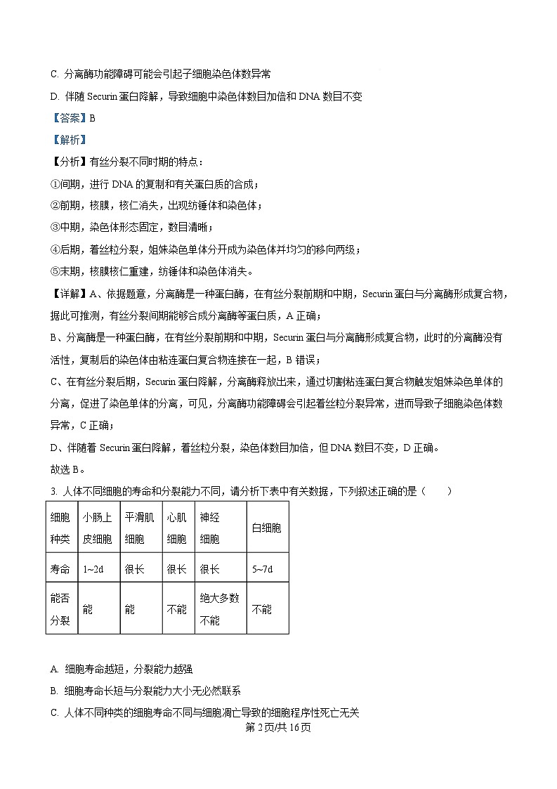 湖南省岳阳市岳阳县第一中学2024-2025学年高一下学期3月月考生物试题 Word版含解析第2页
