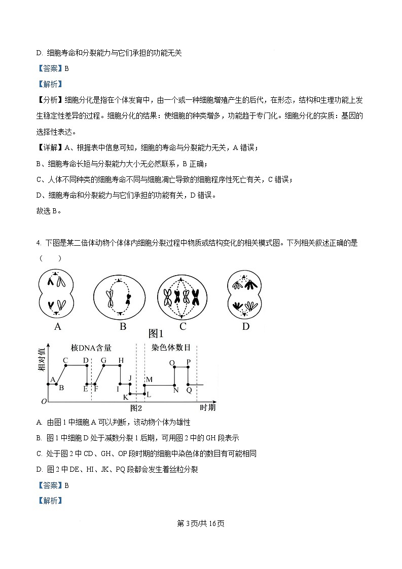 湖南省岳阳市岳阳县第一中学2024-2025学年高一下学期3月月考生物试题 Word版含解析第3页