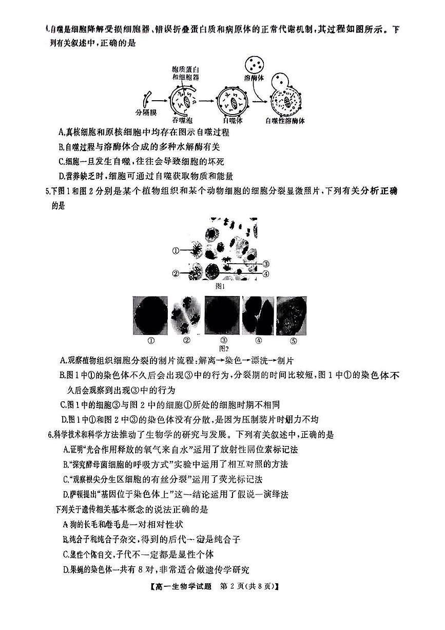 湖南省天壹名校联盟2025年上学期3月高一大联考生物试卷第2页