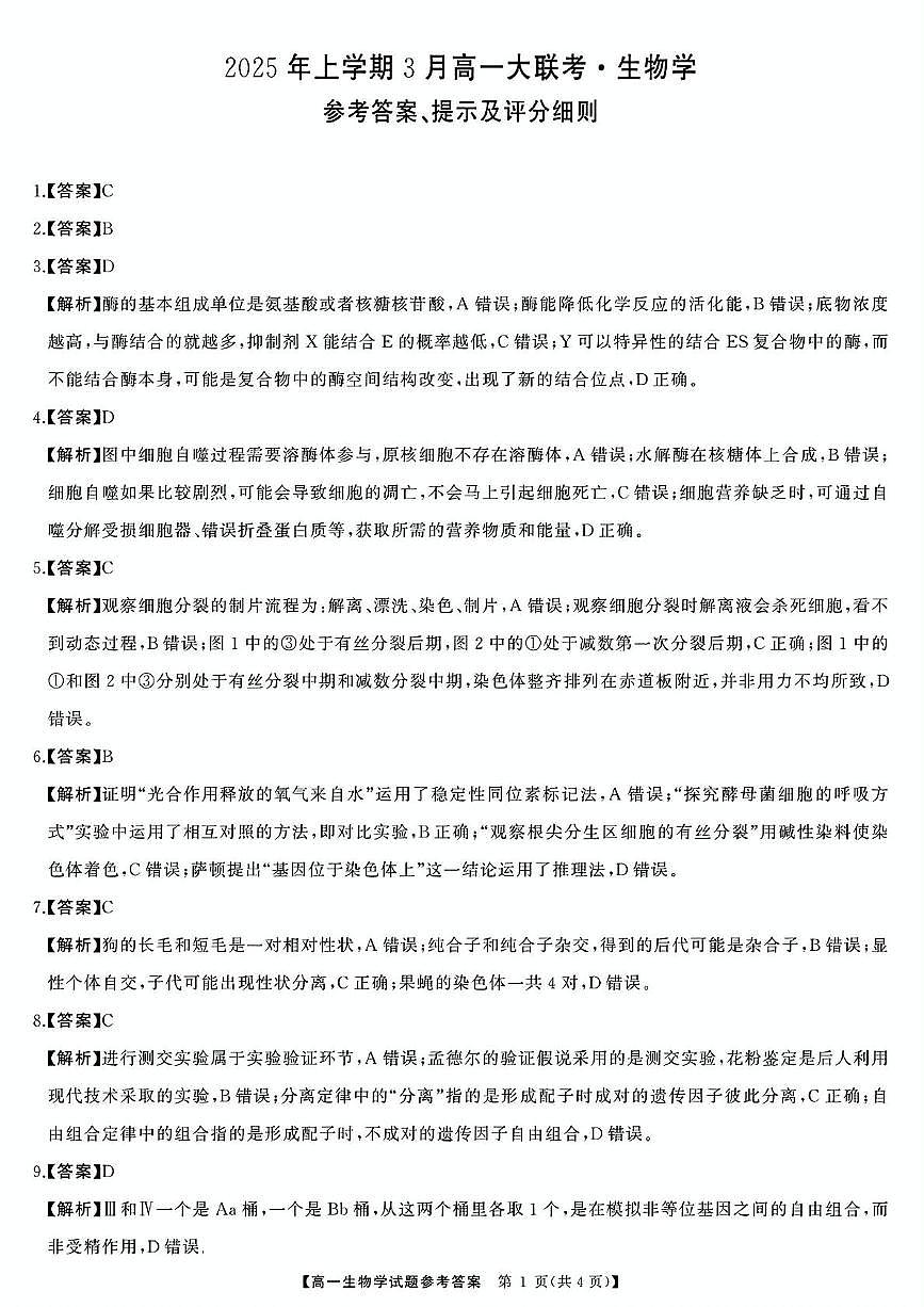 大天壹-2025年上学期3月高一大联考生物学答案第1页